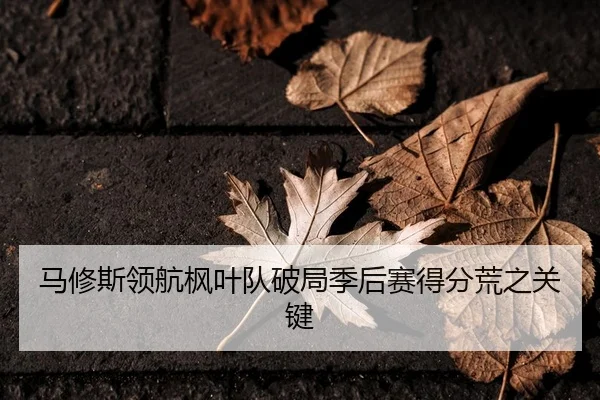 马修斯领航枫叶队破局季后赛得分荒之关键
