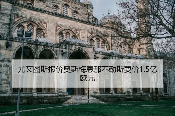 you-wen-tu-si-bao-jia-ao-si-mei-en-na-bu-le-si-yao-jia-yi-ou-yuan-2-797.jpg